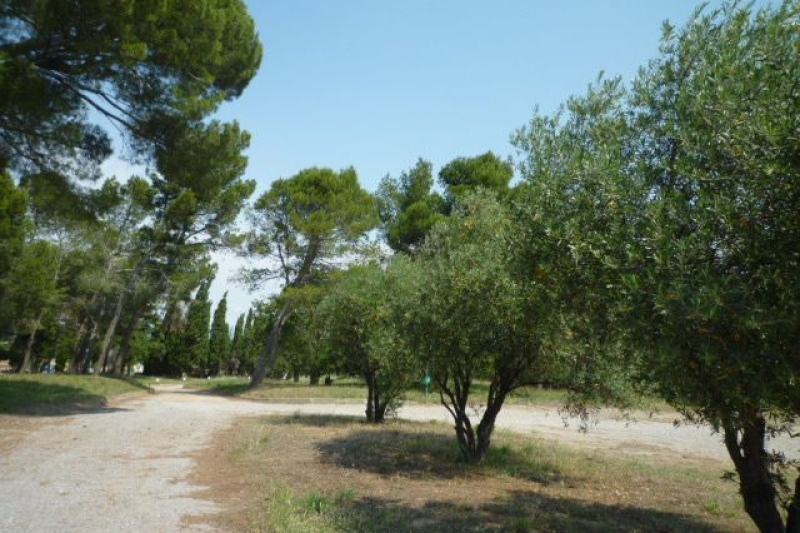 Corbières , château X° et XVIII°S.