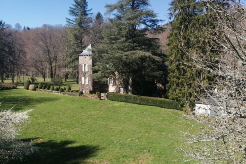 Haut Languedoc Château XVII°55 ha