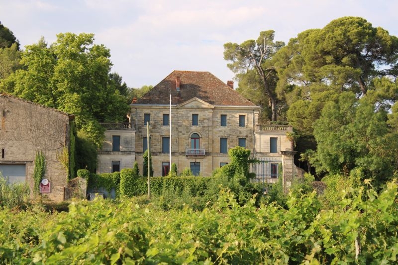 Propriété viticole, CHATEAU XVII°